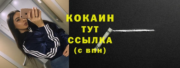 Альфа ПВП Каменка