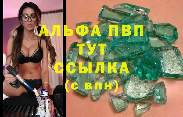 Альфа ПВП Каменка