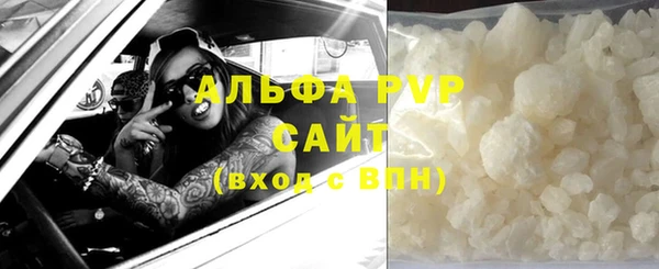 гашик Каменногорск