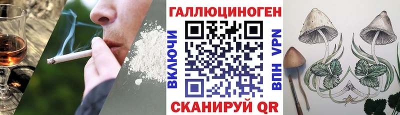 Купить  Гурьевск  Псилоцибиновые грибы прущие грибы 